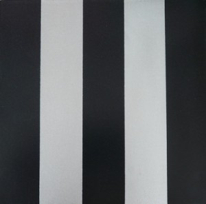 P Stripe_resize